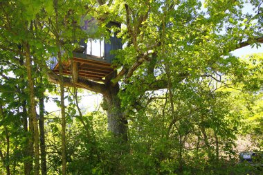 Etrafı yabani otlarla çevrili Paslanmış Hurda Parçalar