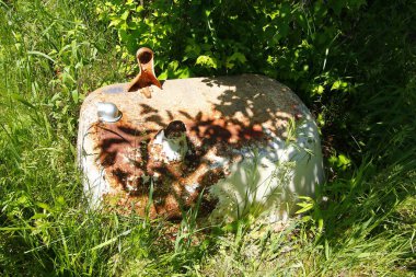 Etrafı yabani otlarla çevrili Paslanmış Hurda Parçalar