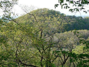 Shallenberger Eyalet Doğa Koruma Alanı, Lancaster, Ohio