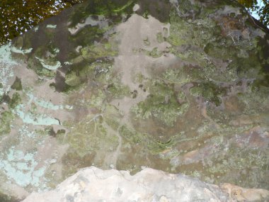 Shallenberger Eyalet Doğa Koruma Alanı, Lancaster, Ohio