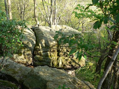 Shallenberger Eyalet Doğa Koruma Alanı, Lancaster, Ohio