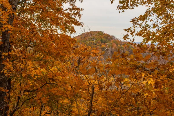 Shallenberger State Nature Preserve Lancaster Ohio — Stockfoto