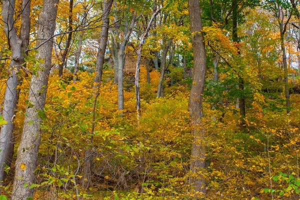 Shallenberger State Nature Preserve Ohio Lancaster — 스톡 사진