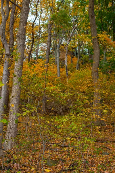 Shallenberger State Nature Preserve Lancaster Ohio — Foto Stock