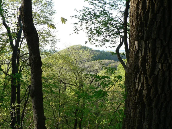 Shallenberger State Nature Preserve Lancaster Ohio — стокове фото