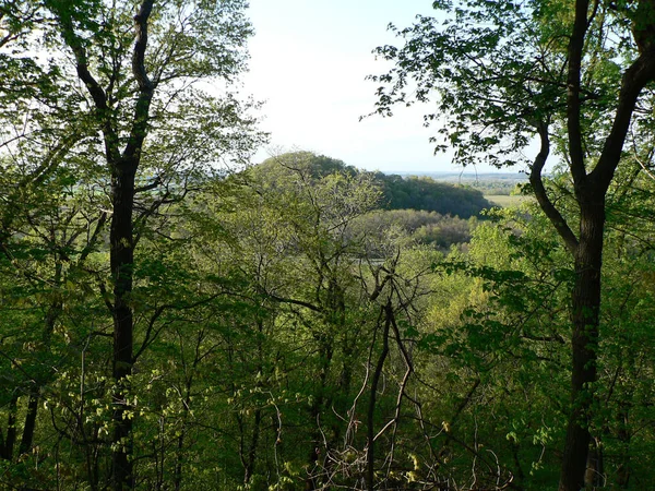 Shallenberger State Nature Preserve Lancaster Ohio — Stock Photo, Image