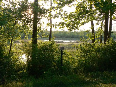 Three Creek Metro Parkı, Columbus, Ohio
