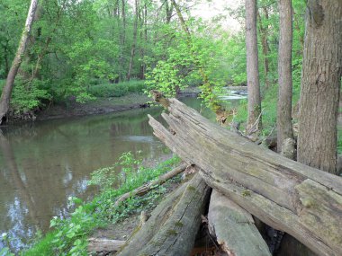 Three Creek Metro Parkı, Columbus, Ohio