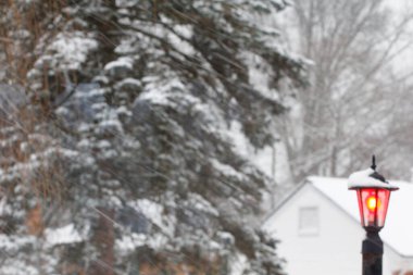 Kış aylarında karla kaplı ağaçlar