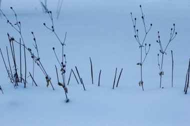 Çeşitli Kış Sahneleri Açık Hava, Ohio