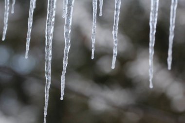 Çeşitli Kış Sahneleri Açık Hava, Ohio