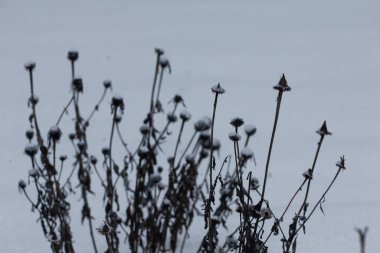 Çeşitli Kış Sahneleri Açık Hava, Ohio