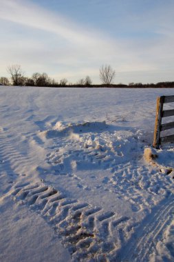 Çeşitli Kış Sahneleri Açık Hava, Ohio