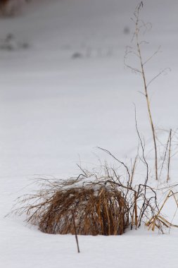 Çeşitli Kış Sahneleri Açık Hava, Ohio