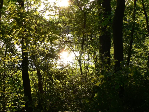 Three Creeks Metro Park Columbus Ohio — Photo