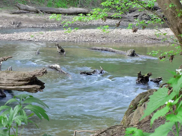 Three Creeks Metro Park Columbus Ohio — Fotografia de Stock