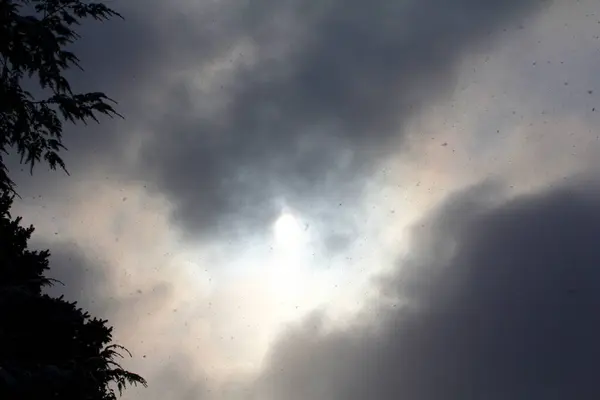 Мрачное Зимнее Небо Туманом Облаками — стоковое фото