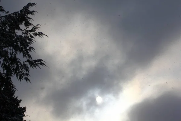 Düsterer Winterhimmel Mit Nebel Oder Wolken — Stockfoto