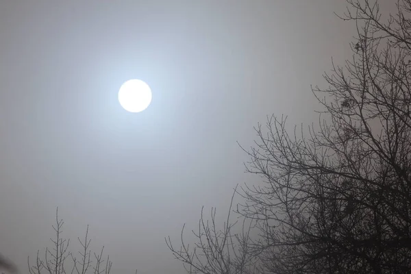 Cerul Strălucitor Iarnă Ceață Sau Nori — Fotografie, imagine de stoc