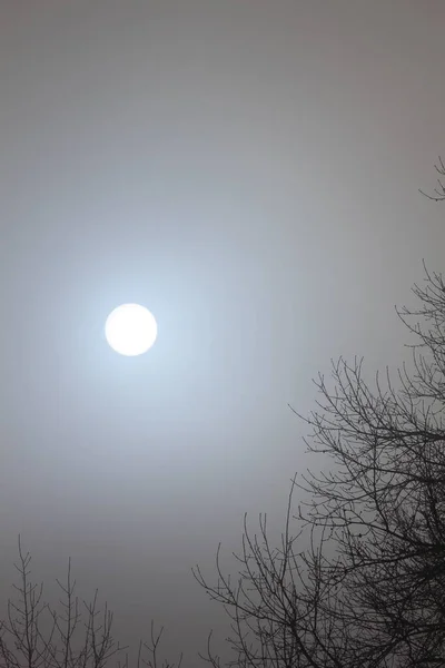 Мрачное Зимнее Небо Туманом Облаками — стоковое фото