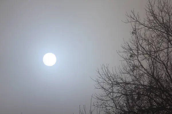 Ciel Hiver Sombre Avec Brouillard Nuages — Photo