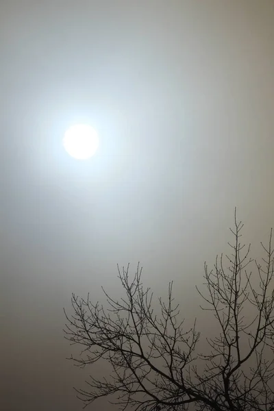 Smutné Zimní Nebe Mlhou Nebo Mraky — Stock fotografie