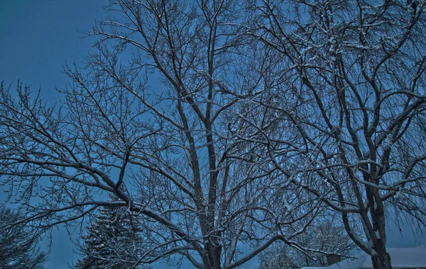 Különböző Téli Jelenetek Szabadban Ohio — Stock Fotó