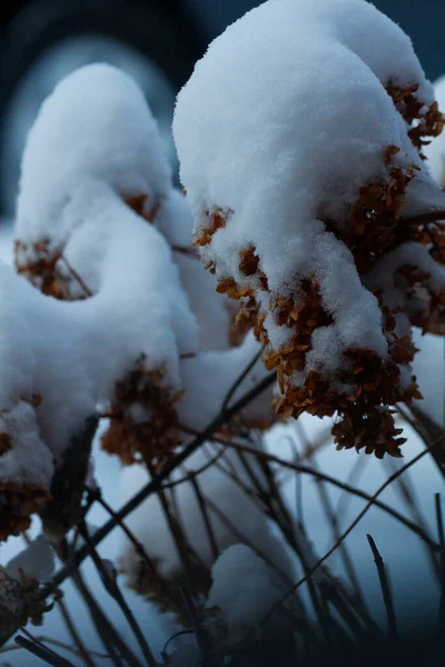 Varias Escenas Invierno Aire Libre Ohio —  Fotos de Stock