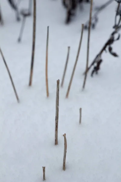 Varie Scene Invernali All Aperto Ohio — Foto Stock