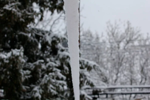 Various Winter Scenes Outdoors Ohio — Stock Photo, Image