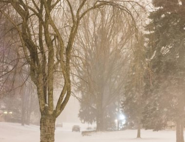 Çeşitli Kış Sahneleri Açık Hava, Ohio