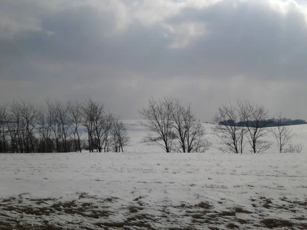 Various Winter Scenes Outdoors Ohio — Stock Photo, Image