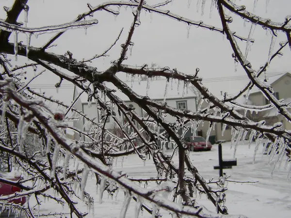 Varie Scene Invernali All Aperto Ohio — Foto Stock