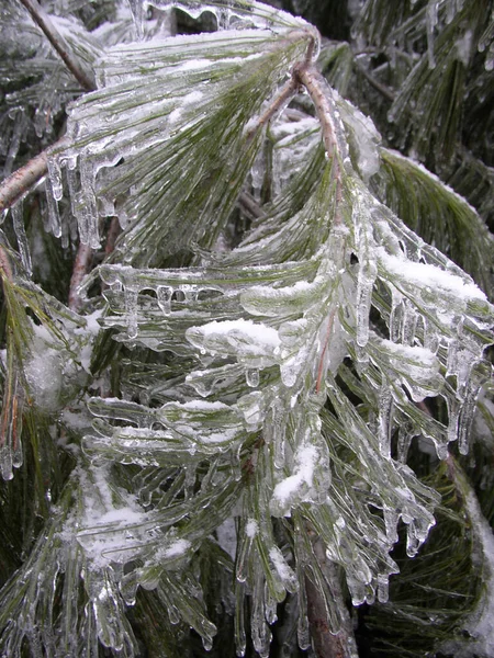 Varie Scene Invernali All Aperto Ohio — Foto Stock