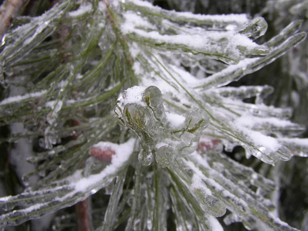 Verschiedene Winterszenen Freien Ohio — Stockfoto