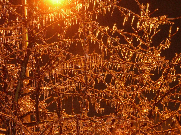 Varie Scene Invernali All Aperto Ohio — Foto Stock