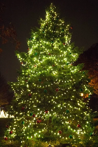 Árbol Navidad Iluminado Worthington Ohio — Foto de Stock