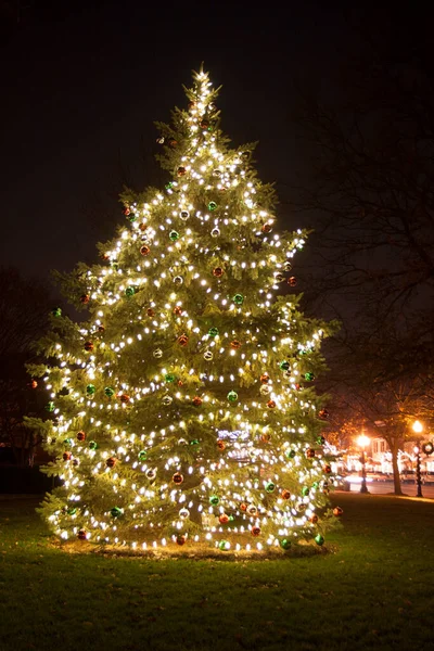 Lightted Christmas Tree Worthington Ohio — стокове фото