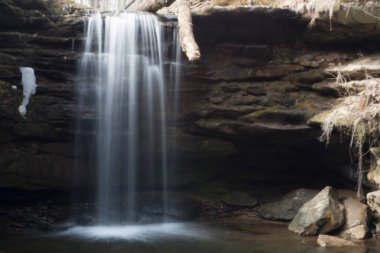 Beach City Vahşi Yaşam Alanı, Dundee, Ohio