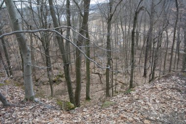 Beach City Vahşi Yaşam Alanı, Dundee, Ohio