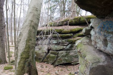 Beach City Vahşi Yaşam Alanı, Dundee, Ohio