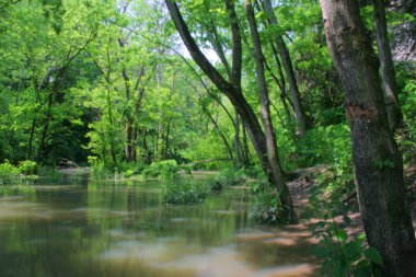 Hayden Run Falls Parkı, Columbus, Ohio