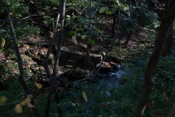 Indian Run Falls Park Dublin Ohio — Stockfoto