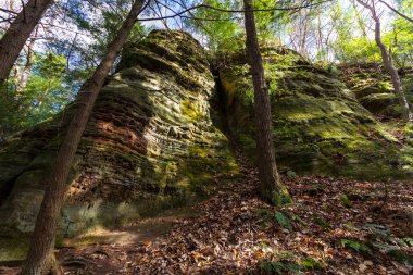 Cantwell Kayalıkları, Hocking Hills Eyalet Parkı, Ohio