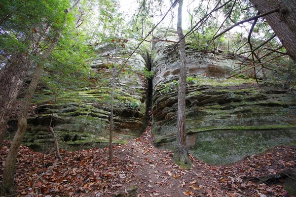 Cantwell Cliffs Hocking Hills State Park Ohio — Fotografia de Stock