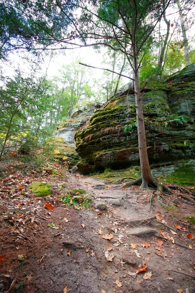 Cantwell Cliffs Hocking Hills State Park Ohio — 스톡 사진