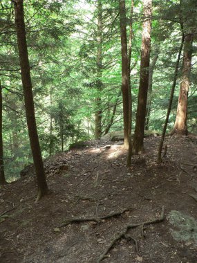 Conkle 's Hollow Birimi, Hocking Hills Eyalet Parkı, Ohio