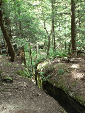 Conkle 's Hollow Birimi, Hocking Hills Eyalet Parkı, Ohio