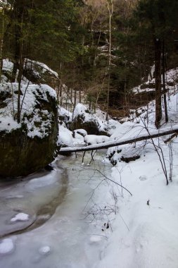 Conkle 's Hollow Birimi, Hocking Hills Eyalet Parkı, Ohio