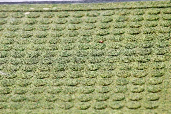 Upclose View Green Floormat — Stockfoto